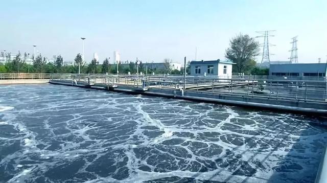 龍安泰環(huán)保 | 淺析養(yǎng)殖廢水深度處理工藝