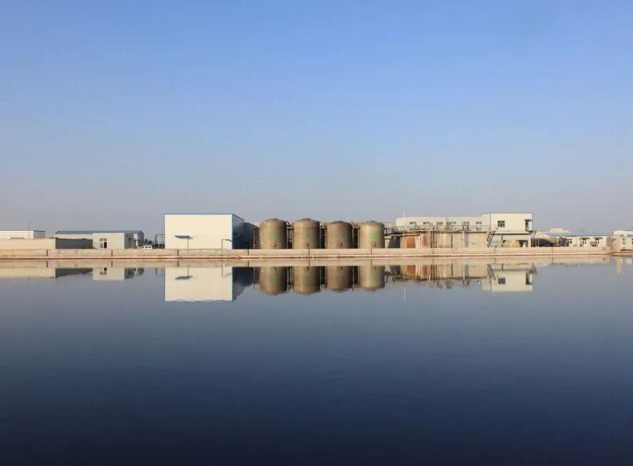 龍安泰環保 | 請查收臭氧作為深度處理工藝在污水廠的應用