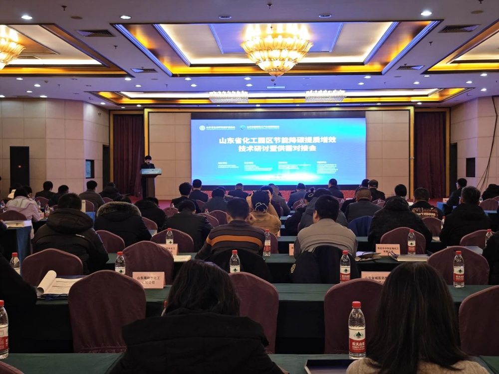 龍安泰環(huán)保|助力產(chǎn)業(yè)園區(qū)綠色節(jié)能高效水處理研討會(huì)系列一